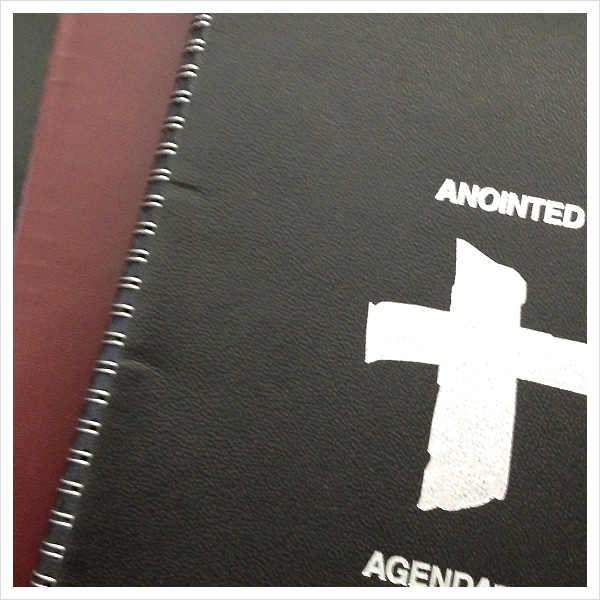 2016 Anointed Agenda - Image 3